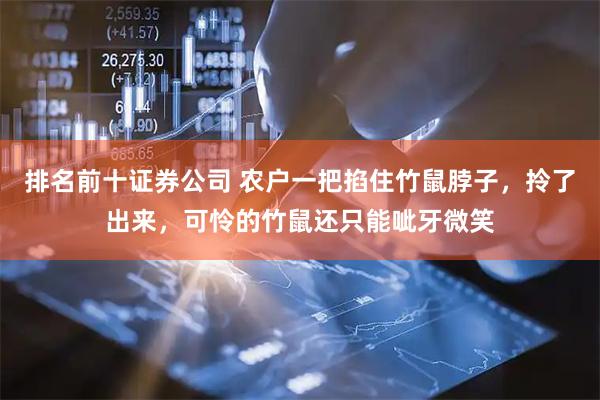 排名前十证券公司 农户一把掐住竹鼠脖子，拎了出来，可怜的竹鼠还只能呲牙微笑