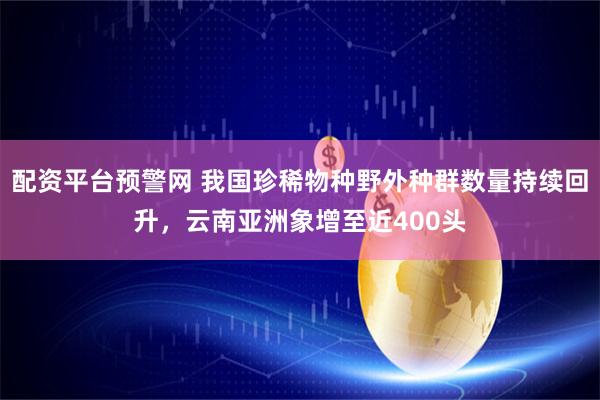 配资平台预警网 我国珍稀物种野外种群数量持续回升，云南亚洲象增至近400头
