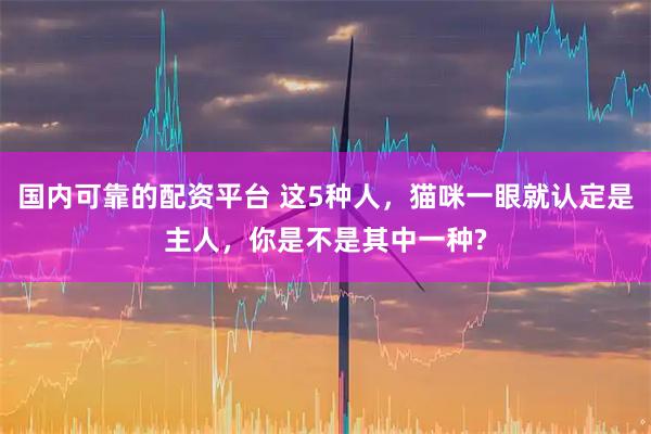 国内可靠的配资平台 这5种人，猫咪一眼就认定是主人，你是不是其中一种?