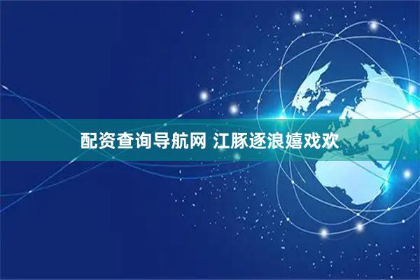 配资查询导航网 江豚逐浪嬉戏欢